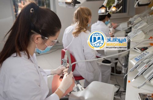 تحصیل پزشکی و دندانپزشکی در اسلواکی