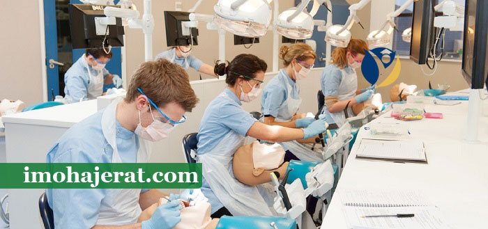 تحصیل دندانپزشکی در صربستان