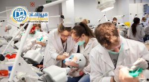 تحصیل پزشکی و دندانپزشکی در استونی