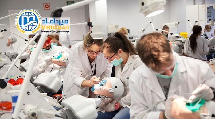 تحصیل پزشکی و دندانپزشکی در استونی