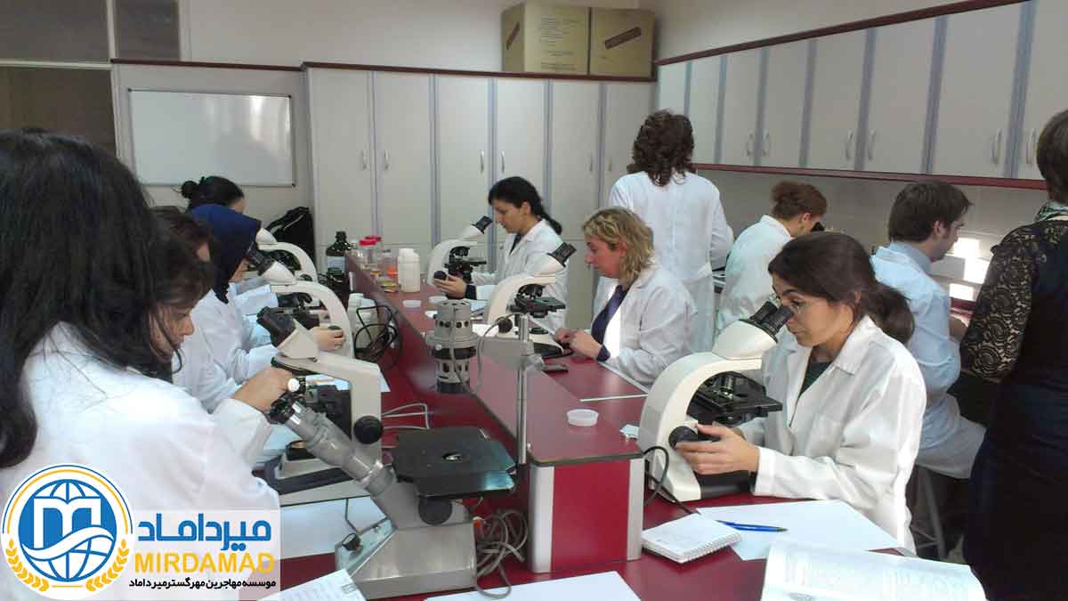 تحصیل داروسازی در دانشگاه Hacettepe