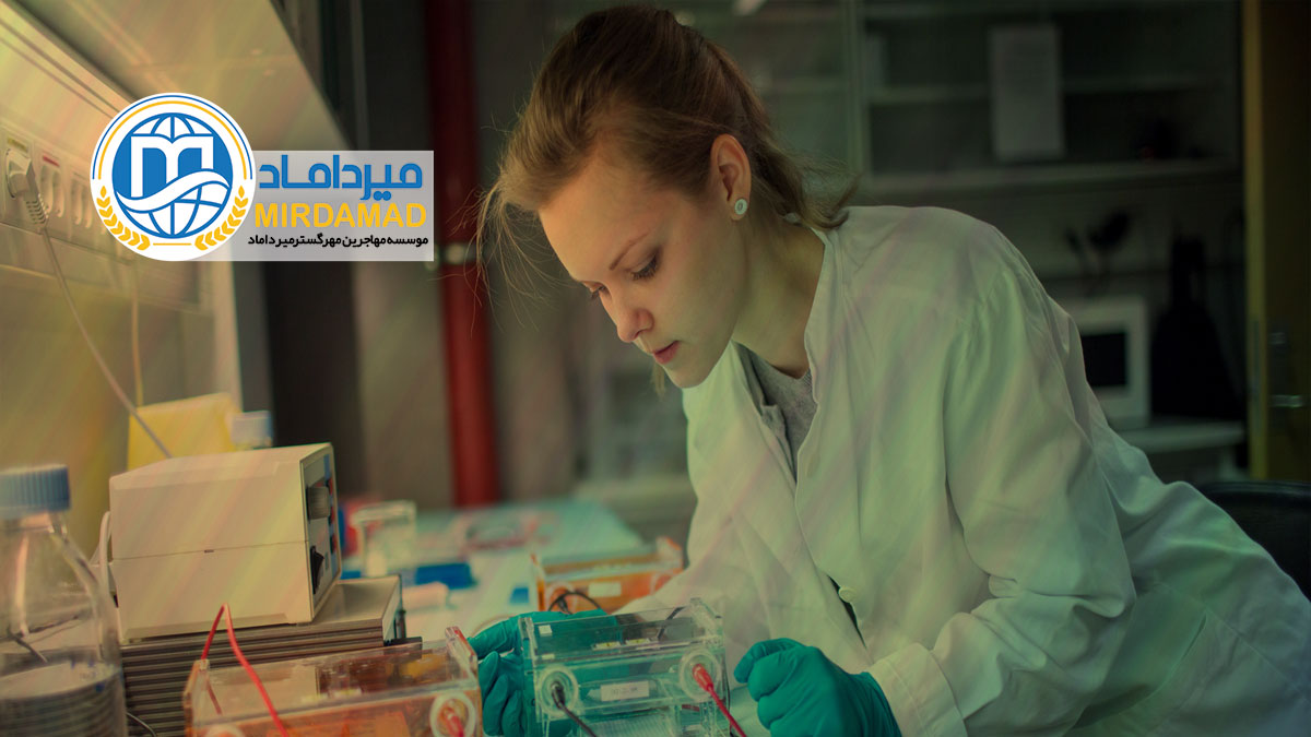 شرایط لازم جهت تحصیل رشته پزشکی در فنلاند