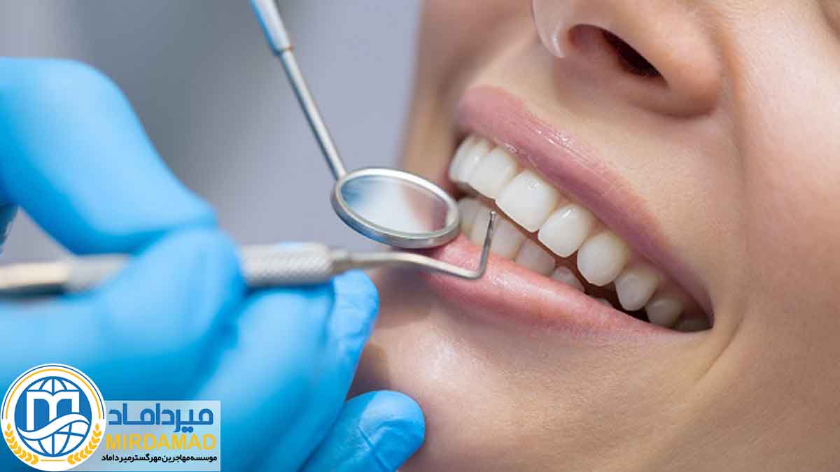 ساختار آموزشی دانشگاههای دندانپزشکی ترکیه
