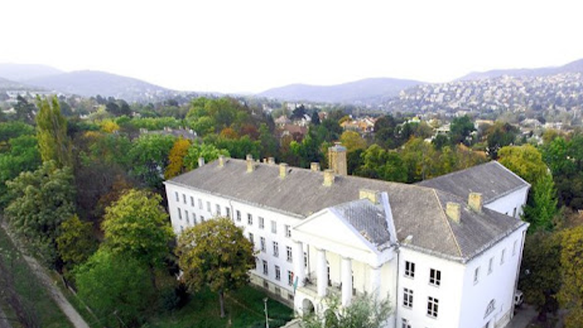 دانشگاه هنر و طراحی مجارستان